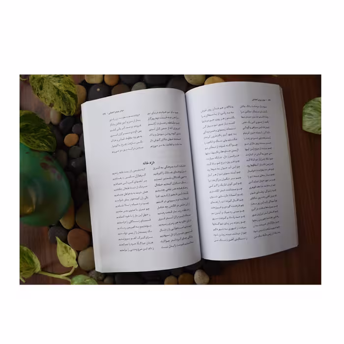 کتاب دیوان پروین اعتصامی انتشارات آوای مهدیس