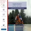 برچسب پوششی ماهوت مدل Equestrianism مناسب برای تبلت سامسونگ Galaxy Tab 3 8.0 2013 T310