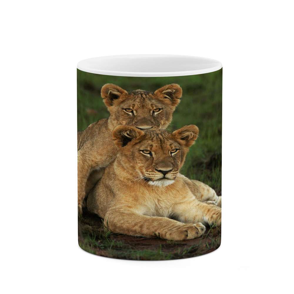 ماگ کاکتی طرح شیر مدل mgs14275