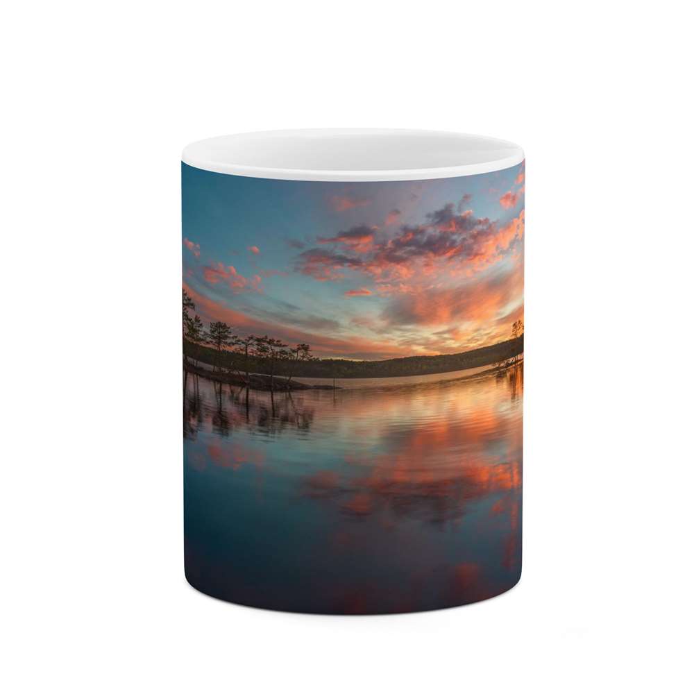 ماگ کاکتی طرح منظره مدل mgs16252