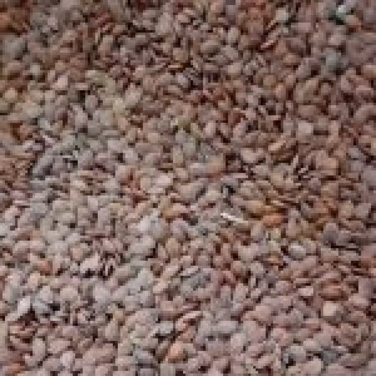 قدومه 100 گرم