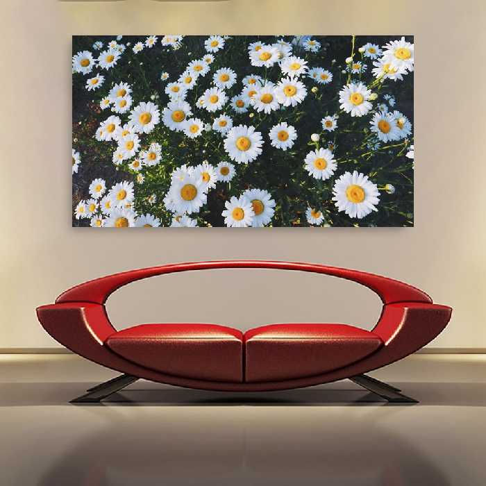 تابلو شاسی مدل گل بابونه