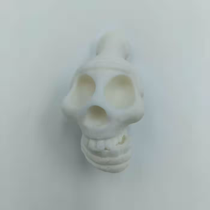 خرید سوت مرگ آزتک Aztec Death Whistle White با بهترین قیمت