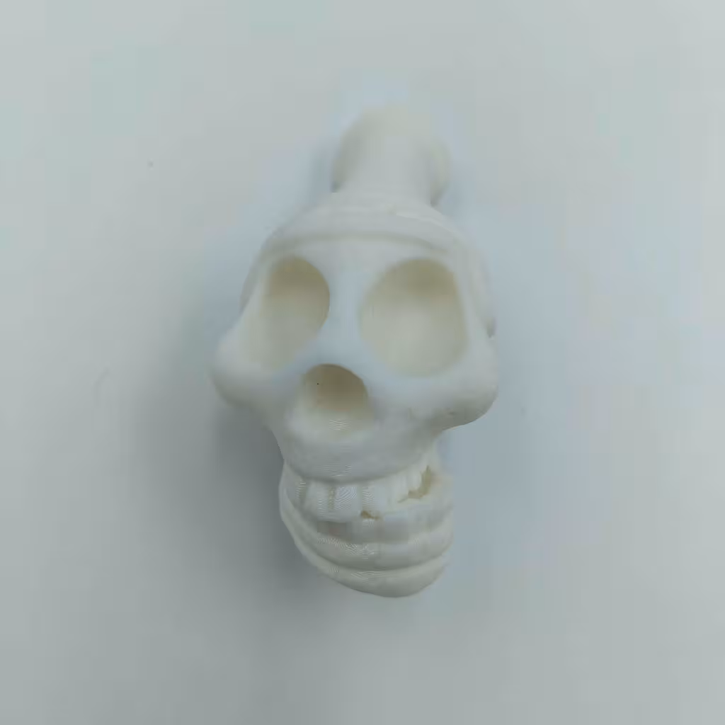 خرید سوت مرگ آزتک Aztec Death Whistle White با بهترین قیمت