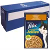 غذای پوچ گربه فلیکس مدل طعم مرغ و هویج در ژله وزن 85 گرم