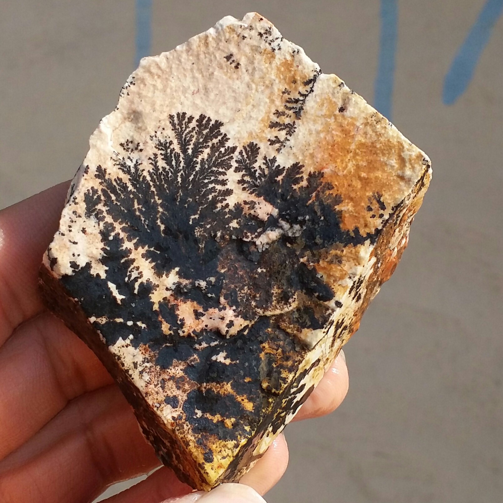 سنگ راف 100 در 100 طبیعی شجر دندریتی یا فسیلی محشر  خاص شاهکار خلقت
شجر واضح خاص
تصویر از 2 طرف نمونه
کد 11048