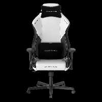 صندلی گیمینگ دی ایکس ریسر Dxracer Drifting Series 2025 L Winter | فروشگاه تکاف