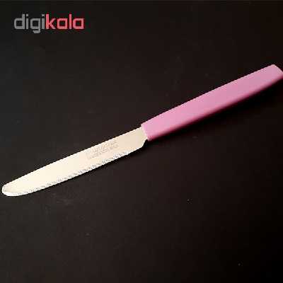 کارد میوه خوری کد 6673 بسته 12 عددی