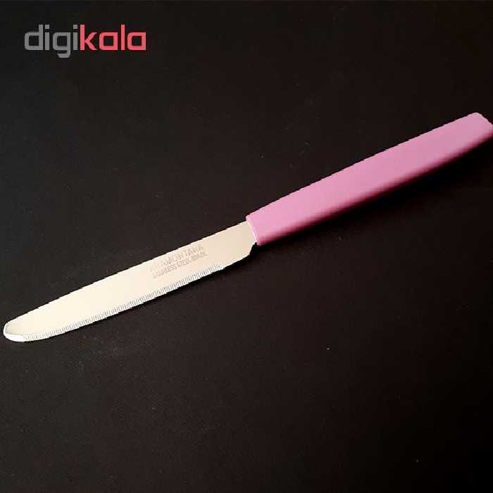 کارد میوه خوری کد 6673 بسته 12 عددی