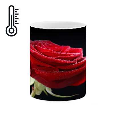 ماگ حرارتی 
کاکتی طرح گل رز مدل mgh18047