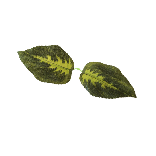 گل مصنوعی مدل برگ پتوس کد 448 بسته 5 عددی