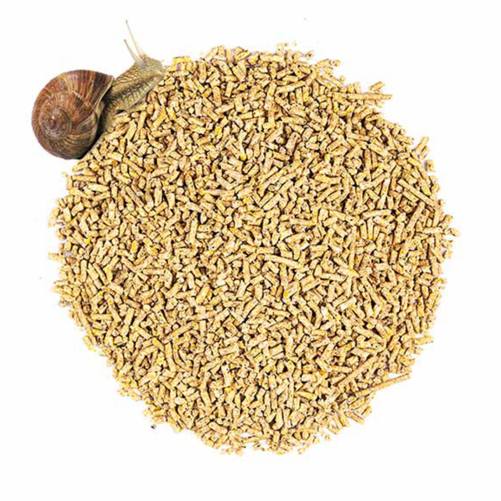 استارتر مخصوص حلزون در بسته بندی 2 کیلوگرمی