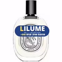 عطر ادکلن دیپتیک وولوتز 100 میل مردانه – زنانه