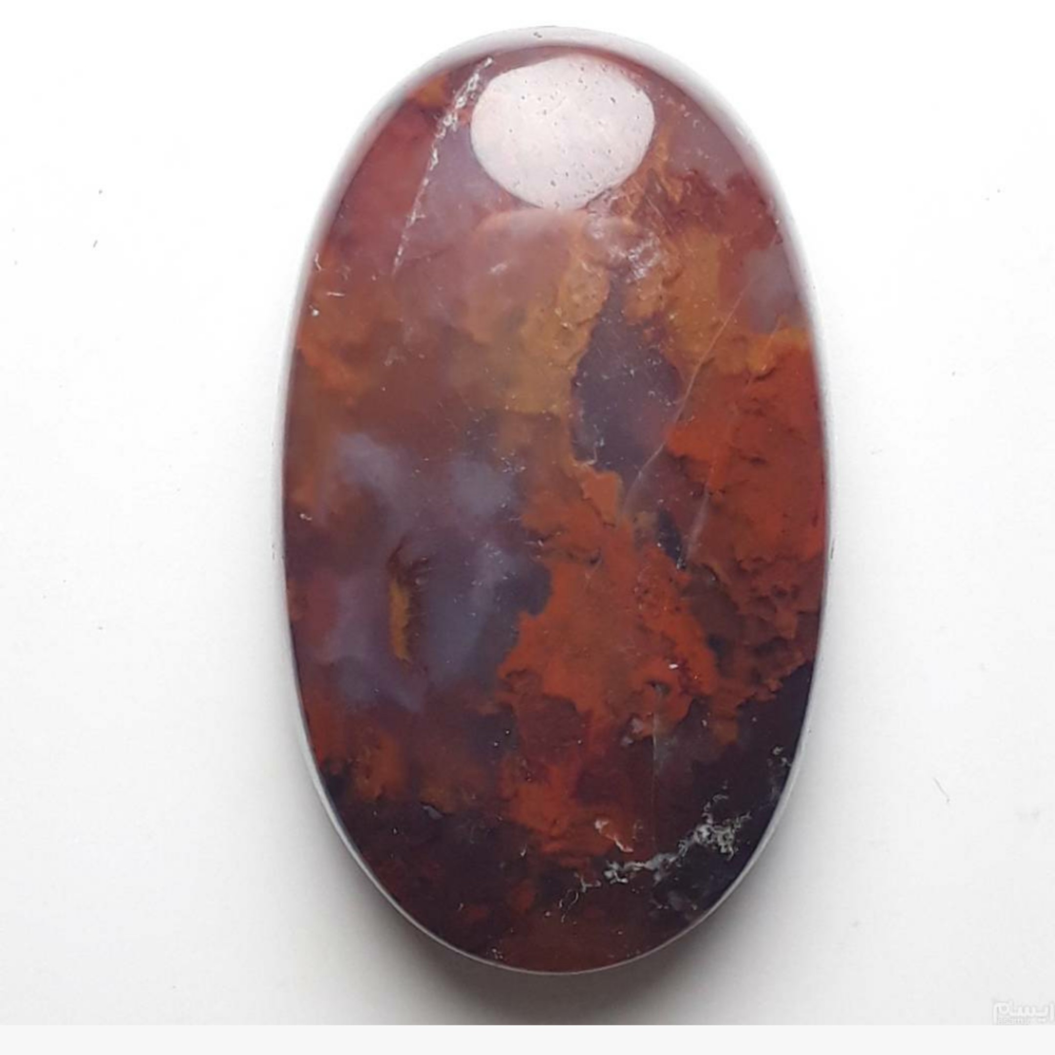 نگین شجر بسیار زیبا