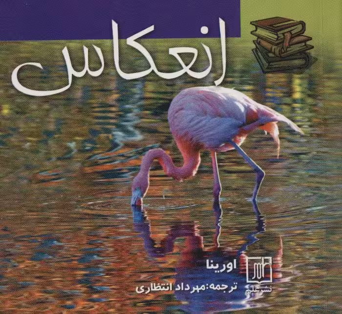 انعکاس (2زبانه) - ناشربوک | خرید آنلاین کتاب