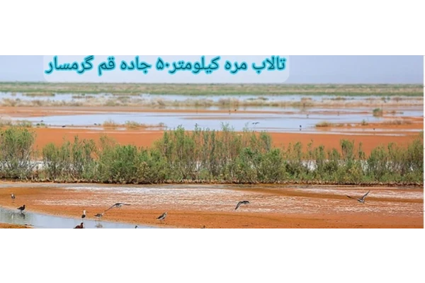 نگاهی به جاذبه های گردشگری واقتصادی تالاب مره قم - کتابخانه مجازی واتیکان