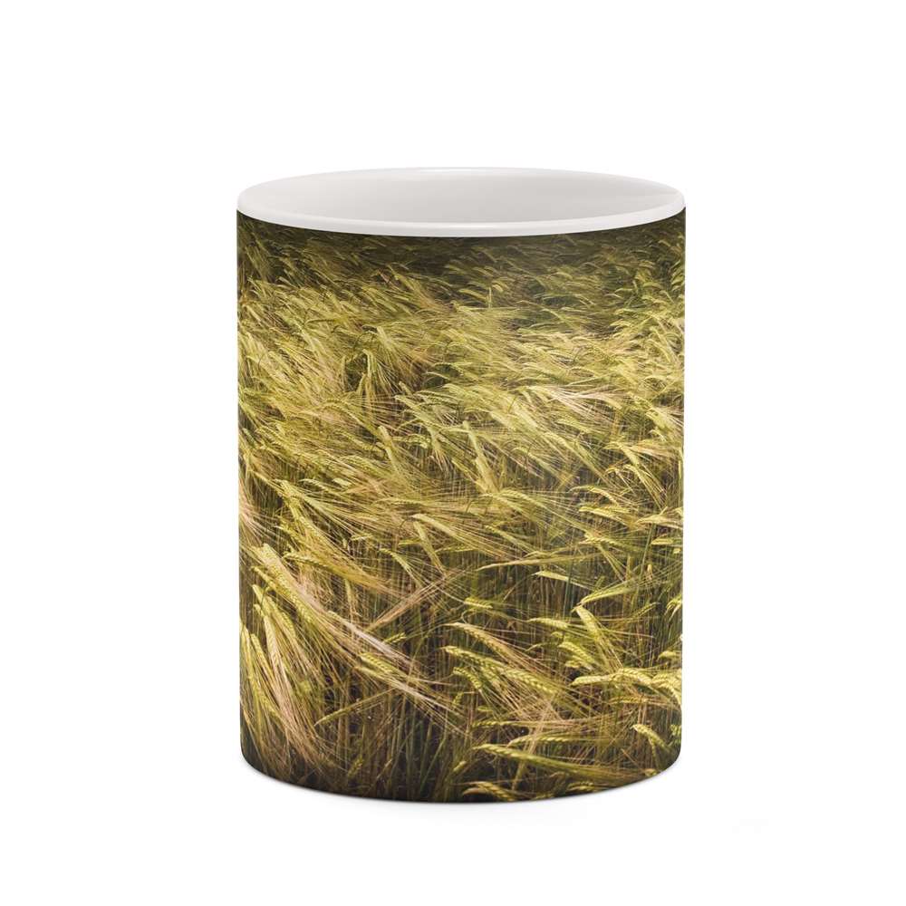 ماگ کاکتی طرح منظره مدل mgh20763