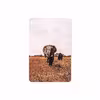 برچسب پوششی ماهوت مدل Elephant مناسب برای تبلت اپل iPad mini (GEN 5) 2019 A2126