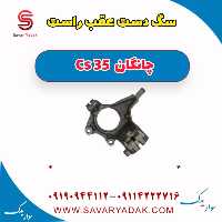 سگ دست عقب راست چانگان Cs 35