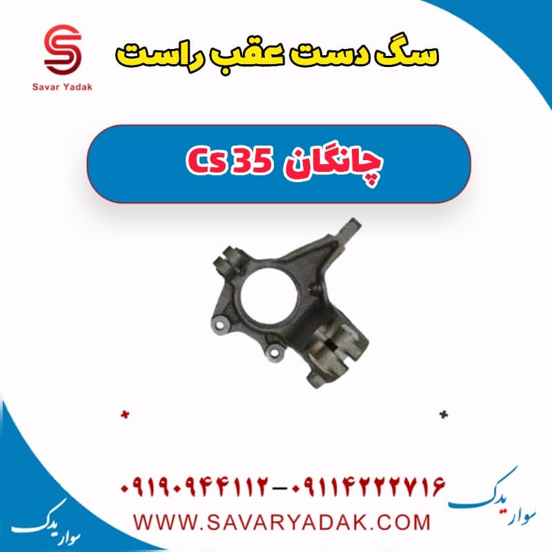 سگ دست عقب راست چانگان Cs 35