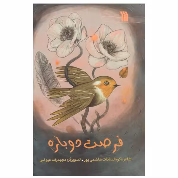 کتاب فرصت دوباره اثر اکرم السادات هاشمی پور انتشارات سروش صداو سیمای جمهوری اسلامی ایران