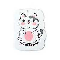 اسفنج ظرفشویی جادویی سفید