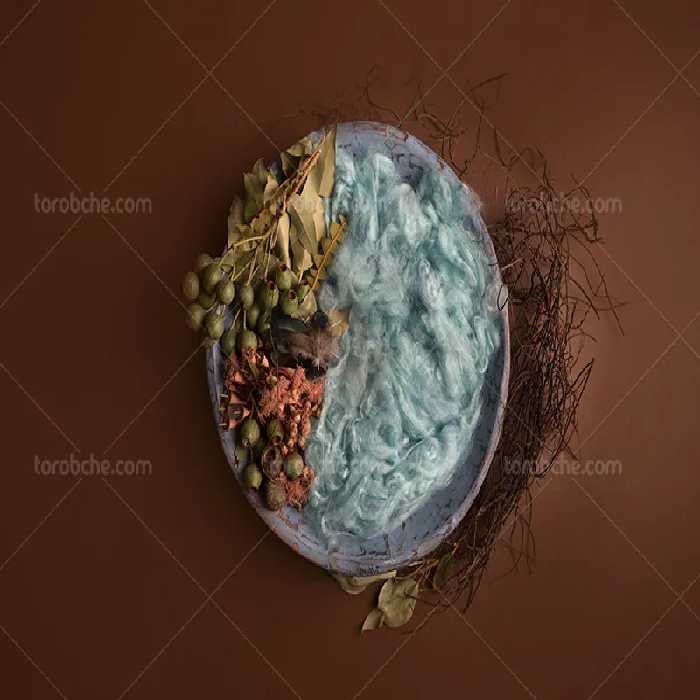 بک دراپ عکاسی نوزاد با برگ های خشک | گرافیک با طعم تربچه