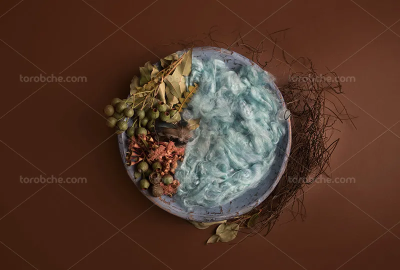 بک دراپ عکاسی نوزاد با برگ های خشک | گرافیک با طعم تربچه