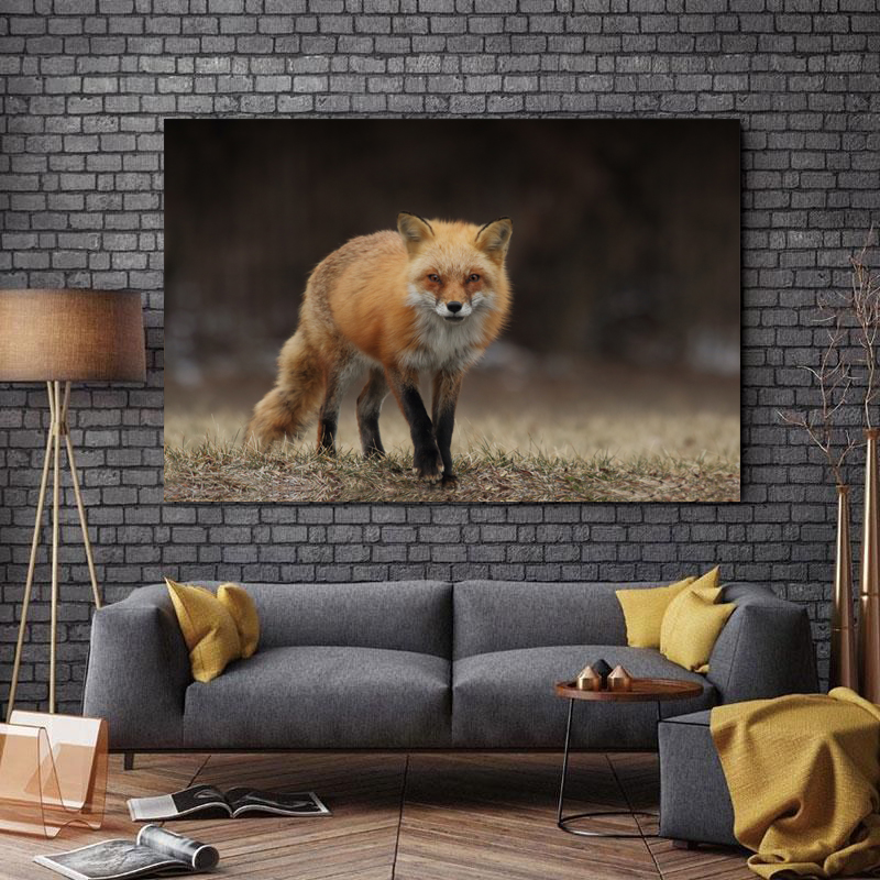 تابلو شاسی طرح حیوانات مدل روباه کد 836