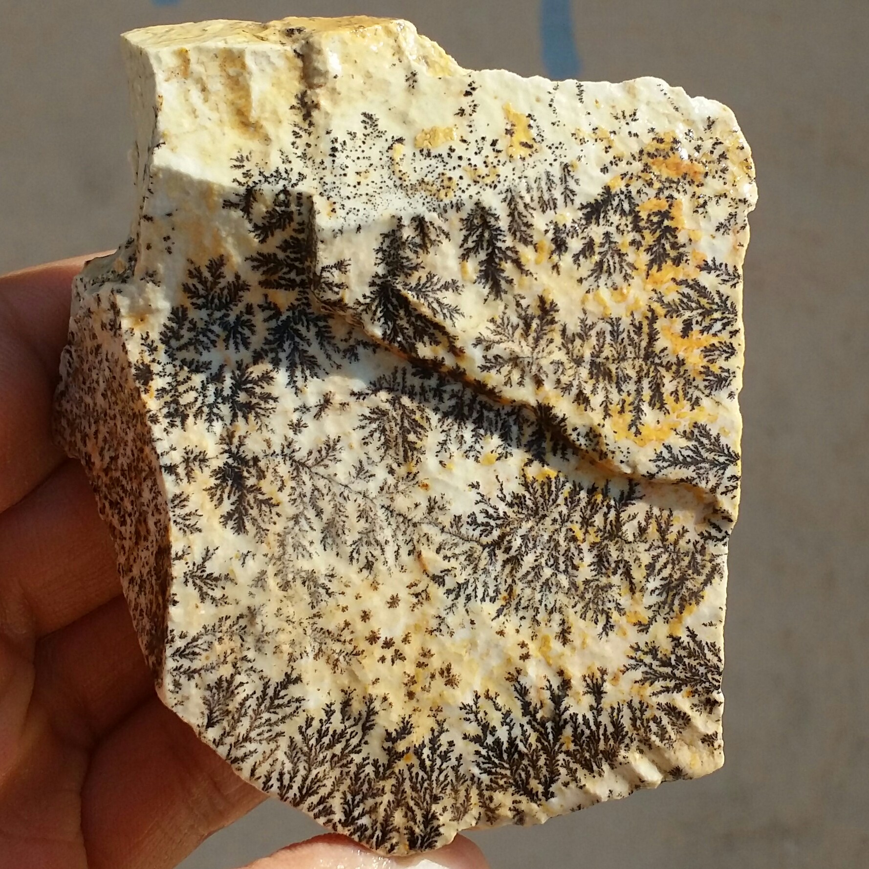 سنگ راف 100 در 100 طبیعی شجر دندریتی یا فسیلی درشت محشر  خاص شاهکار خلقت
شجر واضح خاص
تصویر از 4طرف نمونه
کد 11049