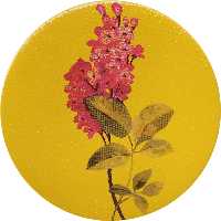 بشقاب دیوارکوب سفالی مدل گل کد 11