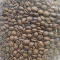 دانه قهوه ساحل عاج