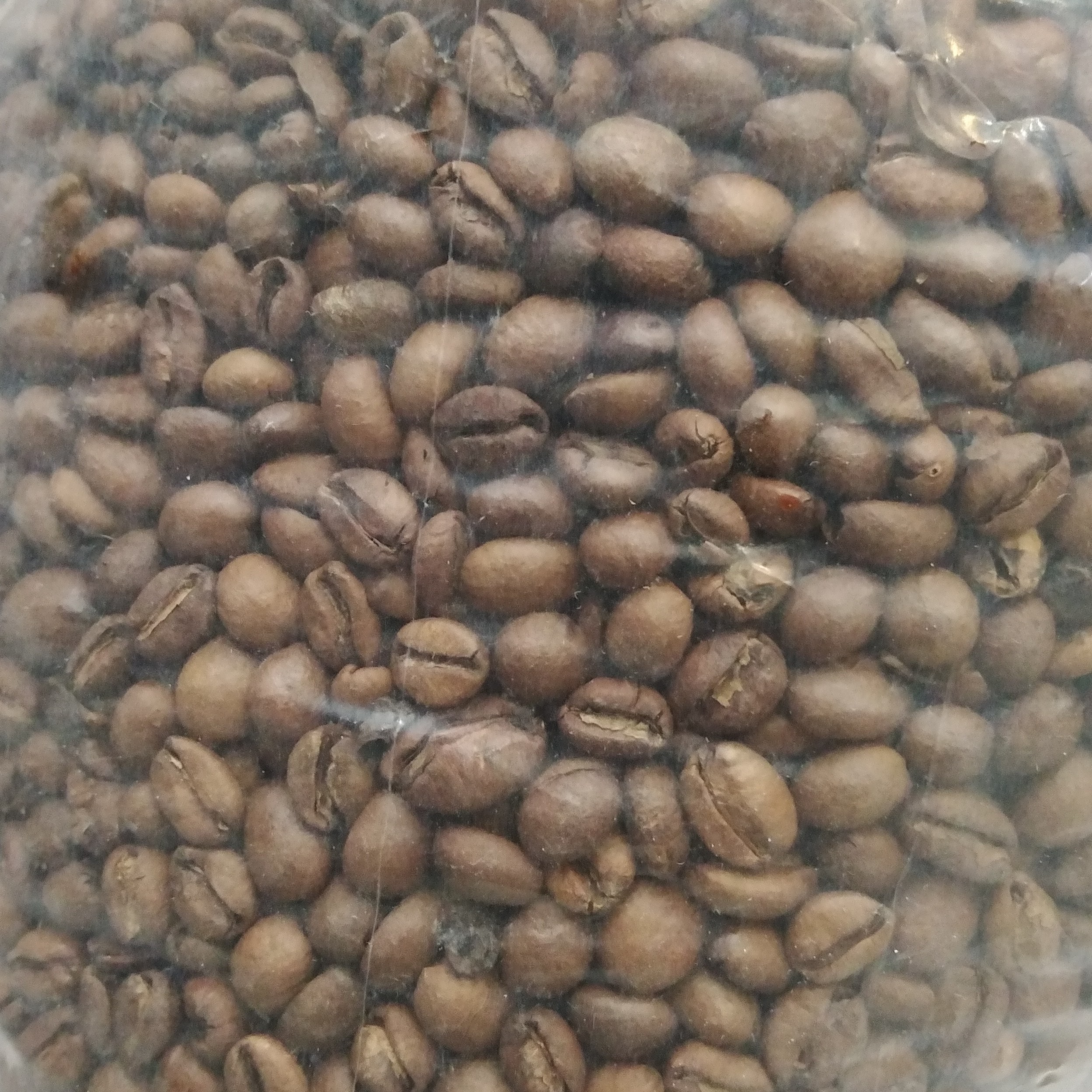 دانه قهوه ساحل عاج