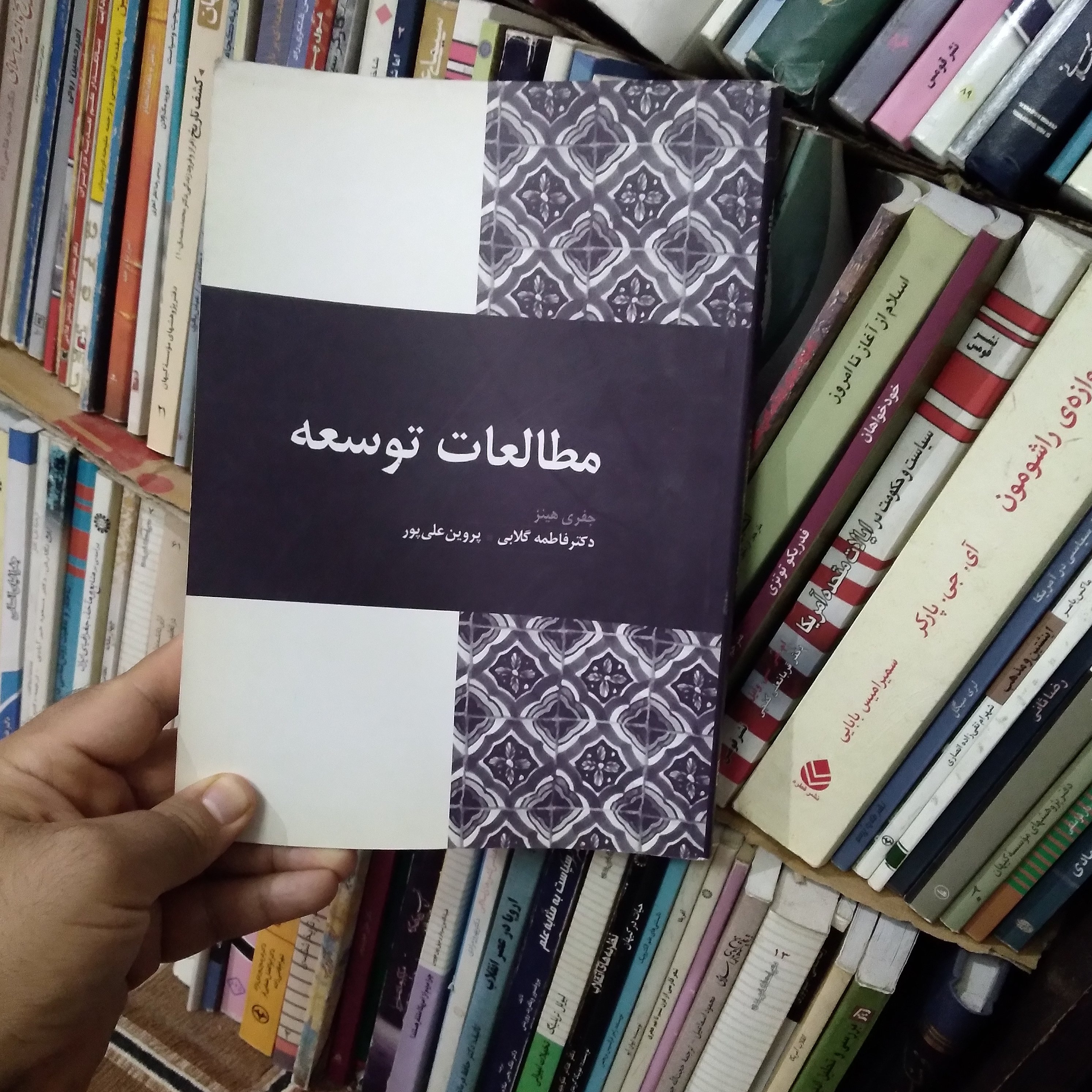 مطالعات توسعه