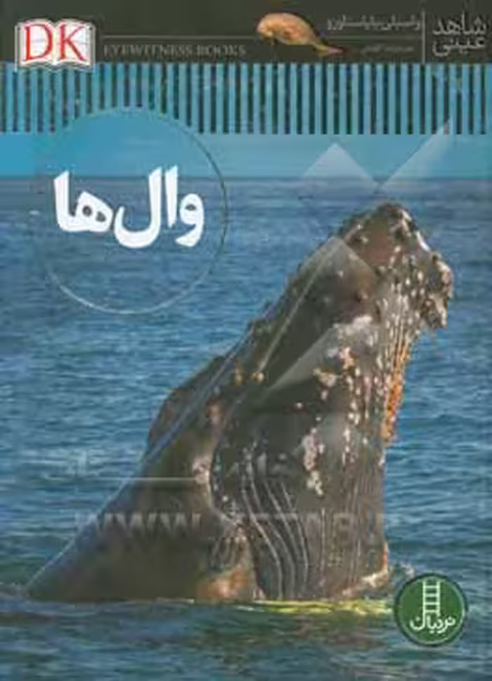 کتاب وال ها اثر واسیلی پاپاستاورو ترجمه محمدرضا افضلی