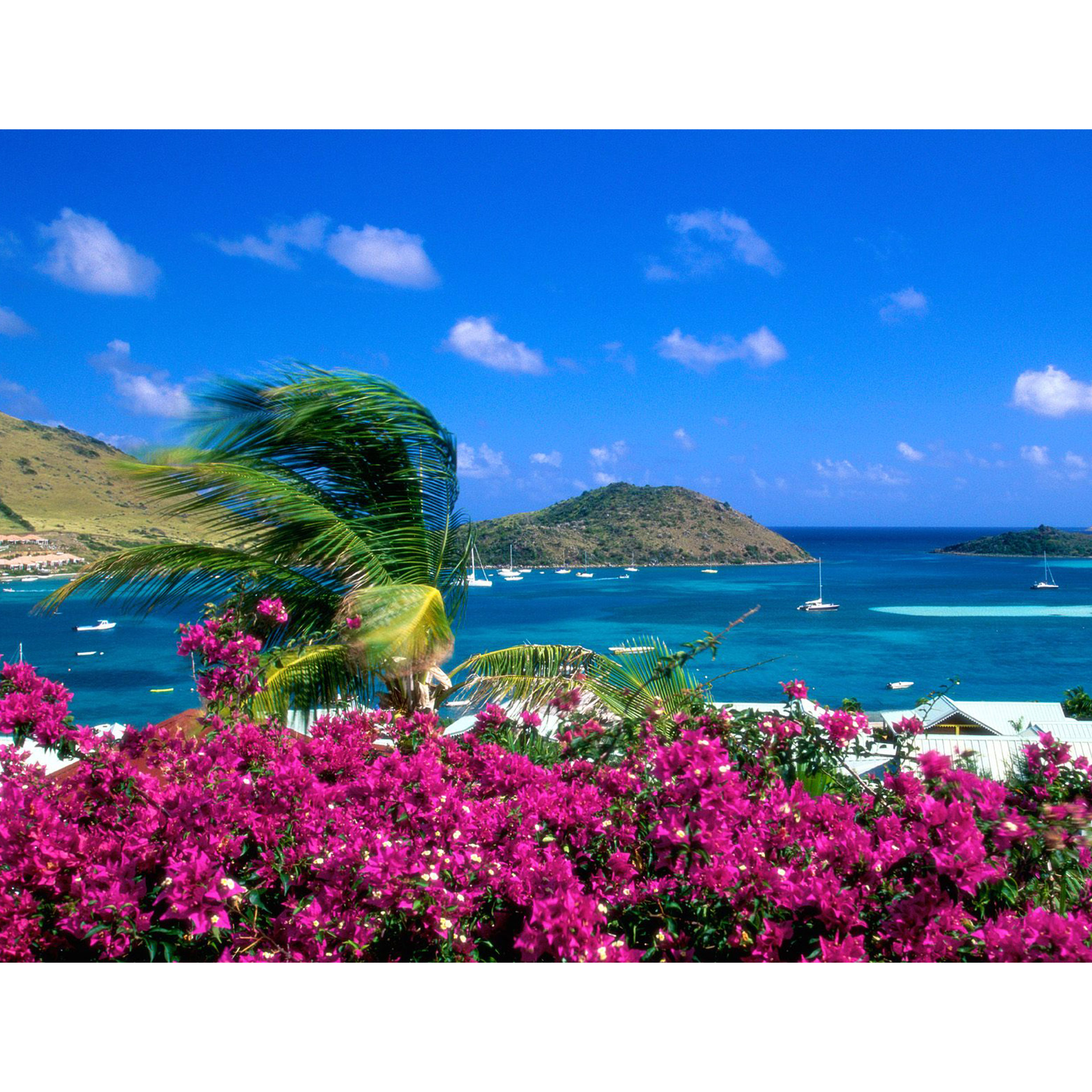 تابلو شاسی مدل دریا و تپه و آسمان و گل و درخت و صخره کد  T7629