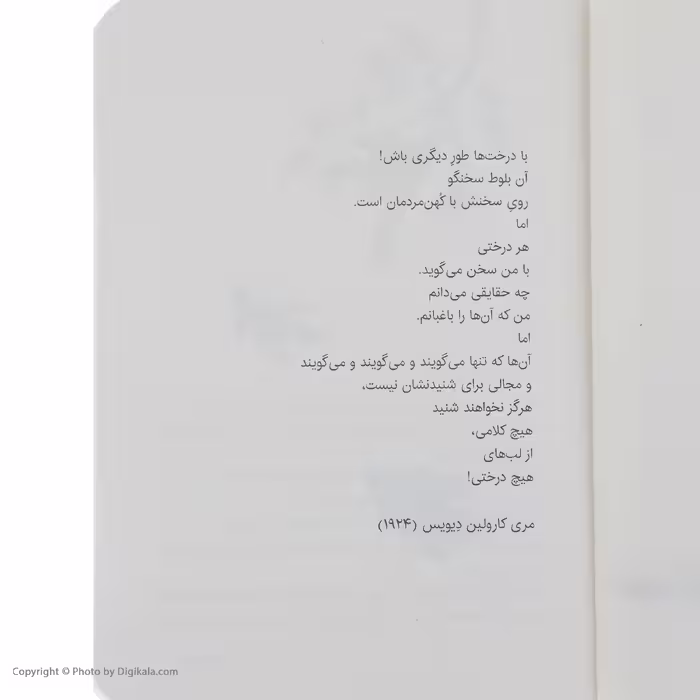 کتاب درخت آرزو اثر کاترین اپلگیت انتشارات پرتقال