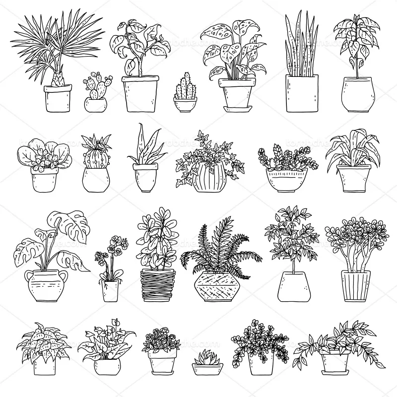 وکتور انواع مختلف گیاه | گرافیک با طعم تربچه