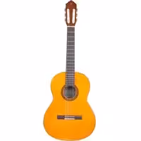 گیتار مدل c70-pro