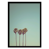 قیمت و خرید تابلو دکوراتیو مدل عکاسی مینیمال نخل کد 1041