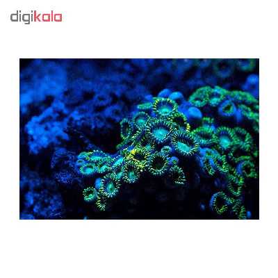 تابلو شاسی طرح مرجان کد 6008