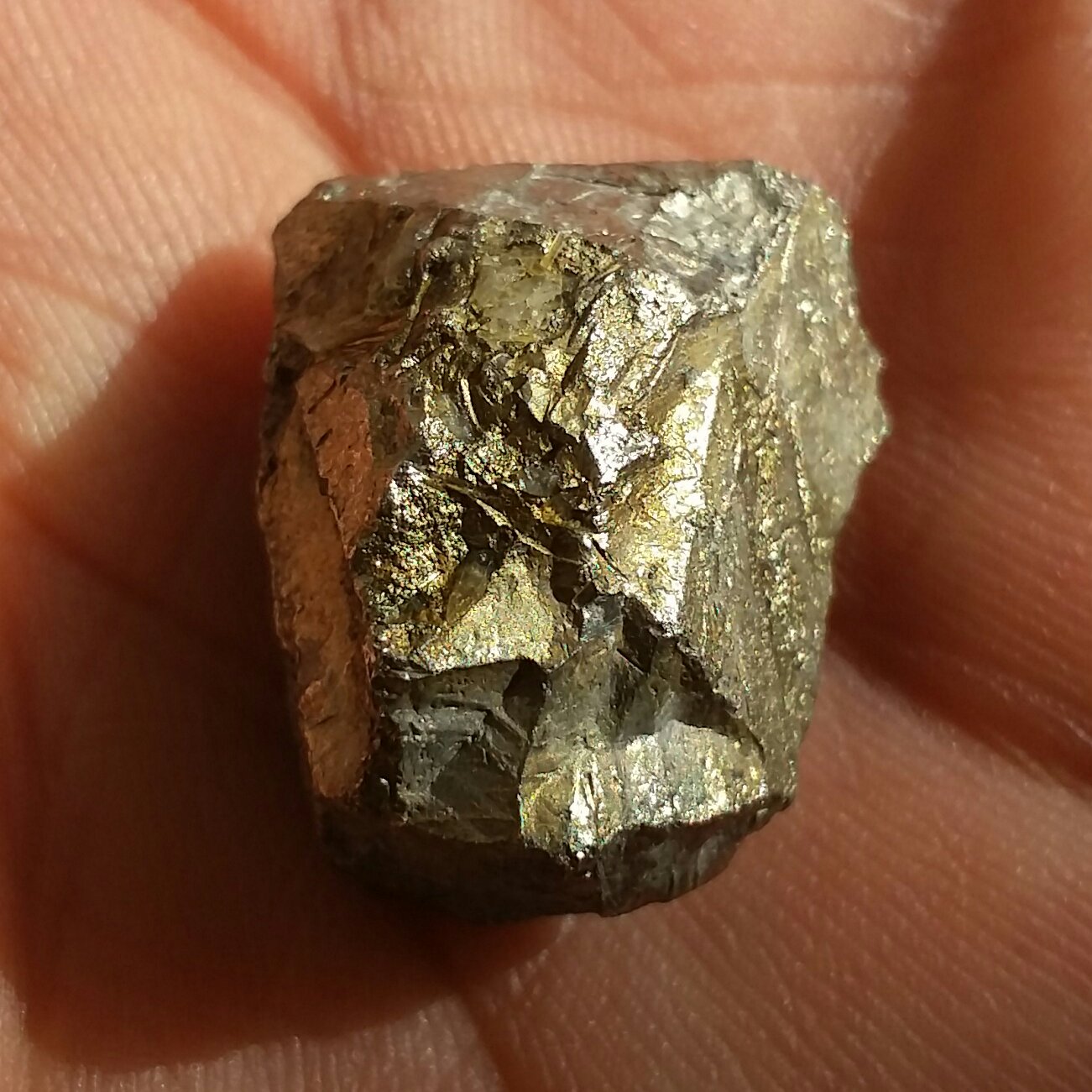 سنگ راف حبه شده پیریت کوبیک طلایی ملقب به سنگ طلا فوق العاده خااص صد در صد طبیعی شاهکااار  خلقت محشرر