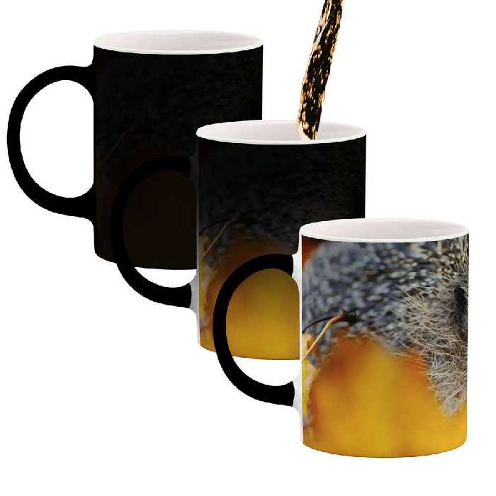 ماگ حرارتی طرح جوجه تیغی مدل mgph01521