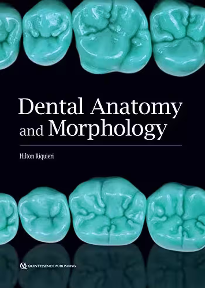 󾕇 دانلود کتاب Dental Anatomy And Morphology, 2019 - دانلود کتاب های دانشگاهی