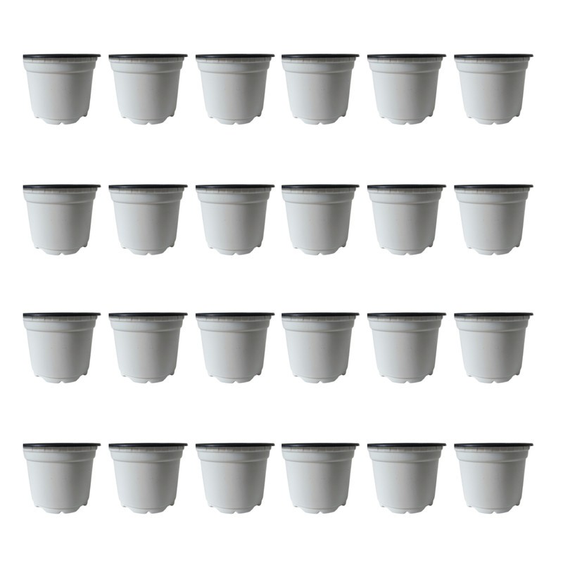 گلدان ژله ای سایز 8 بسته ی 24 عددی 