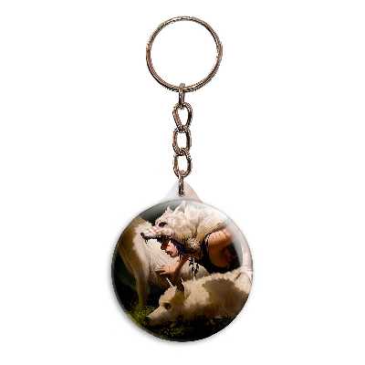 جاکلیدی پرمانه طرح شاهزاده مونوکه کد pmy.20183