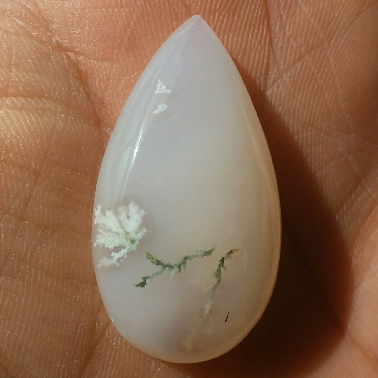 نگین شجر شکوفه محشر واضح بی نظیییییر شاهکار خلقت 100درصد طبیعی