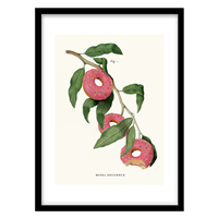 قیمت و خرید تابلو دکوراتیو مدل نقاشی انتزاعی تلفیقی کد 0697