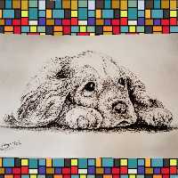 نقاشی سیاه قلم سگ با قاب