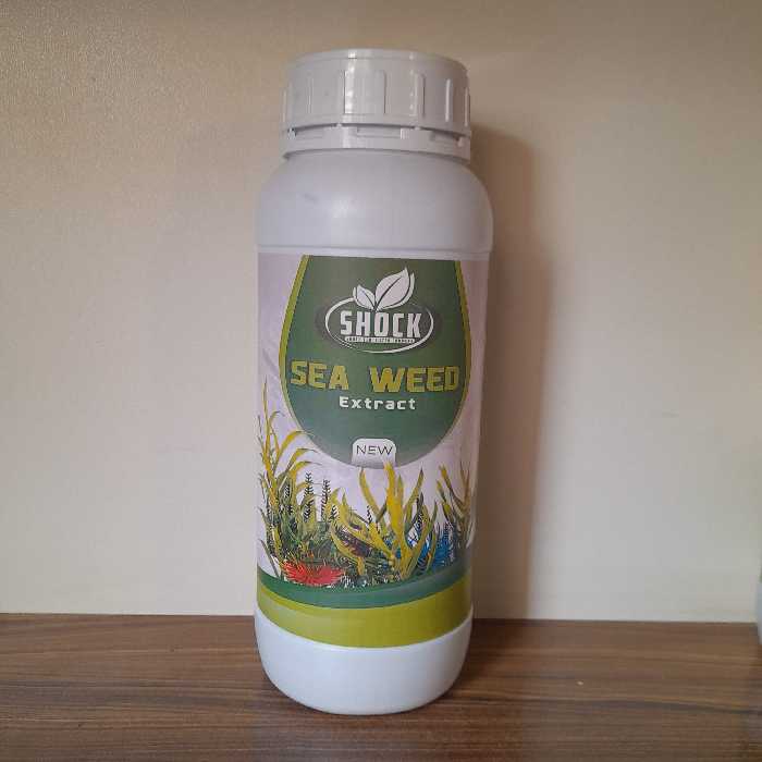 کود جلبک دریایی شوک آمریکایی یک لیتری